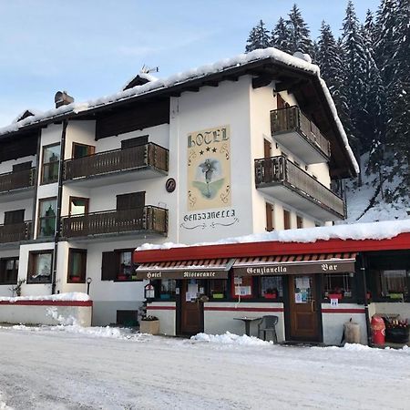 Hotel Genzianella Presenaio Dış mekan fotoğraf