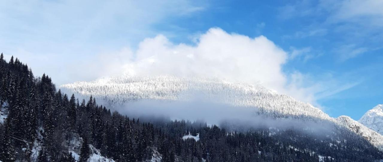 Hotel Genzianella Presenaio Dış mekan fotoğraf
